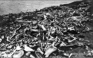 Российскими учеными запущен мировой портал о мамонтах