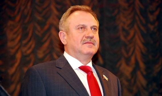 Депутат Государственной думы от фракции "Справедливая Россия" Анатолий Шеин