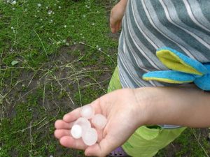 Московская гроза