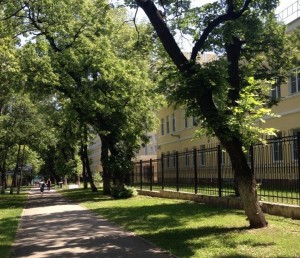 Ставрополь перед приездом Путина