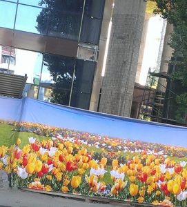 Ставрополь перед приездом Путина