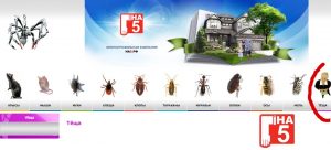 Фирма предлагала избавить клиентов не только от тараканов, но и от тещи