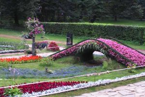 Одна из цветочных экспозиций в Кузьминском парке