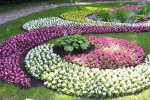 Цветочная экспозиция в Кузьминскойм парке