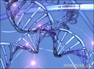 Уничтожение вируса в ДНК человека