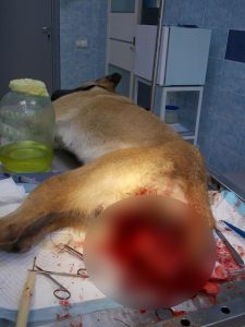 Замазанное1