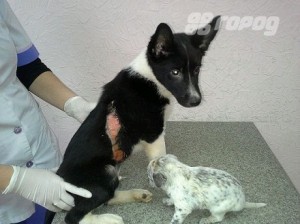 a5232bc9cbbe7d18784da7669b1e72f9c340b3c3_big