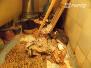 Трупы животных нашли в куче окровавленных тряпок