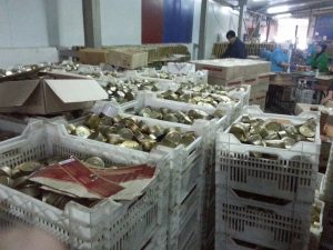 10411833_1525878227680989_5065045534334505145_n