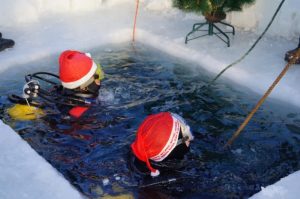 Елка_на_дне2