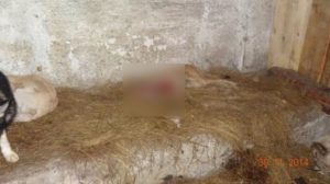 Снимок экрана 2014-12-12 в 14.19.21 copy