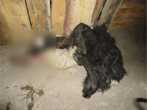 Снимок экрана 2014-12-12 в 14.19.41 copy