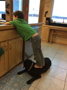 10904413_10152984575863588_4940457743799636064_o