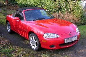 Arachnophobic-doc (1)