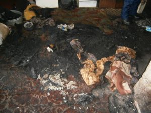 Фото - СУ СК РФ по Красноярскому краю OLYMPUS DIGITAL CAMERA