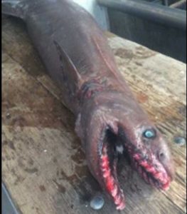 Снимок экрана 2015-01-21 в 13.36.04