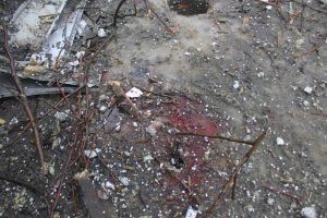 in_article_56b798c04e