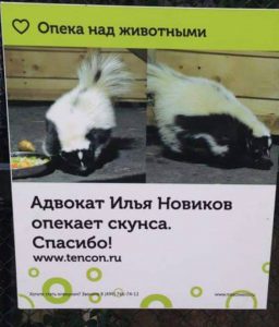 10424286_10203208494852989_8563062019083003862_n