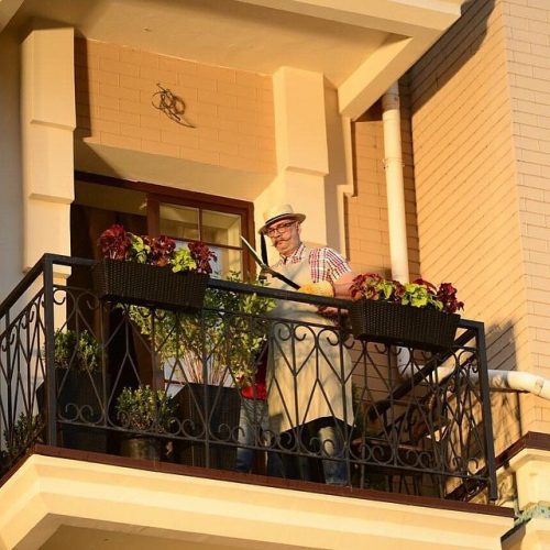 1амедалзе213