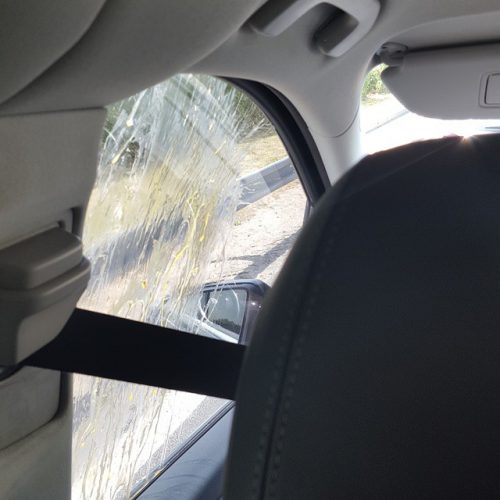 1кортнилав4