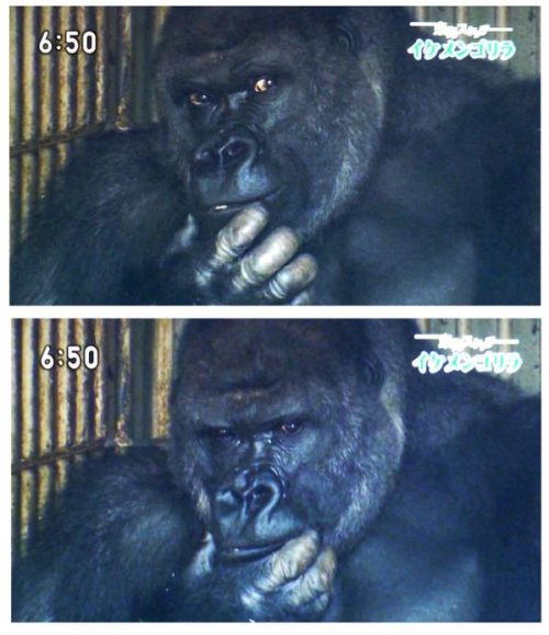 Фото из соцсетей