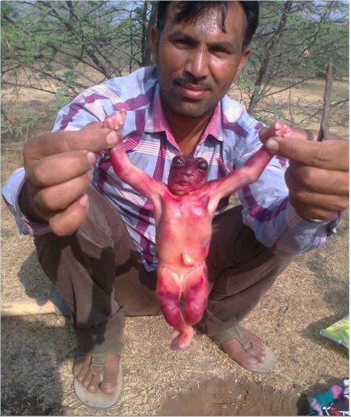 Фото The Daily Mirror