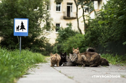 TINYROADSIGN-road-signs-for-animals2__880