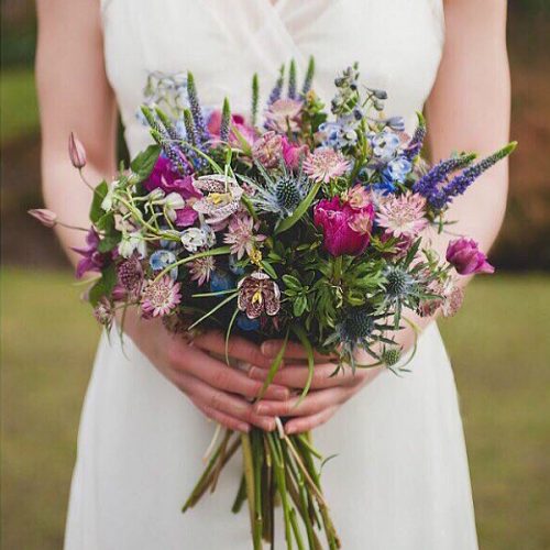 данаборисова