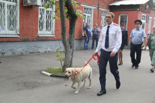 Для сыщиков стало делом чести помочь слепой девушке