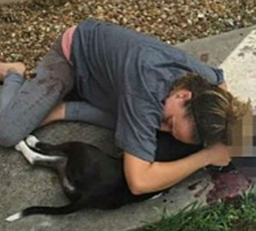 Джиллиан Паласиос