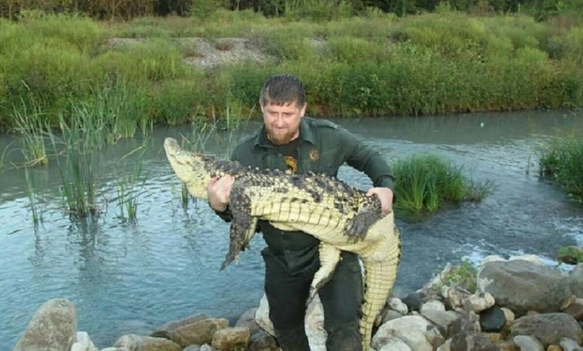 Кадыров поймал голыми руками огромного крокодила 