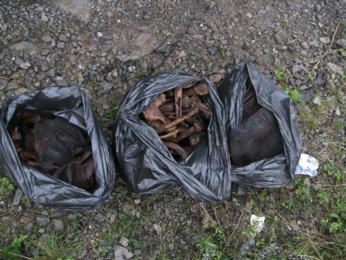 останки с самолета