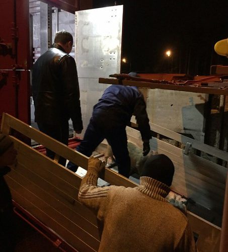 поросенок 3