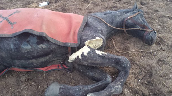 045f83bea4367e00fc20652ca8f0bbc1__660x