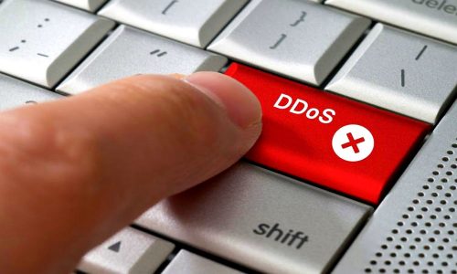  DDoS-             