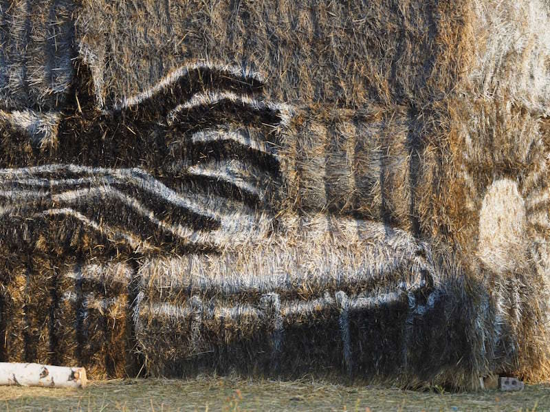 по тексту (4)