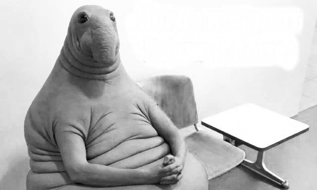 91c690a6d835b74b8847593b2f2a14c8