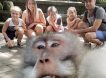 Обезьяна отобрала у туристов фотоаппарат и сняла всё, что о них думает