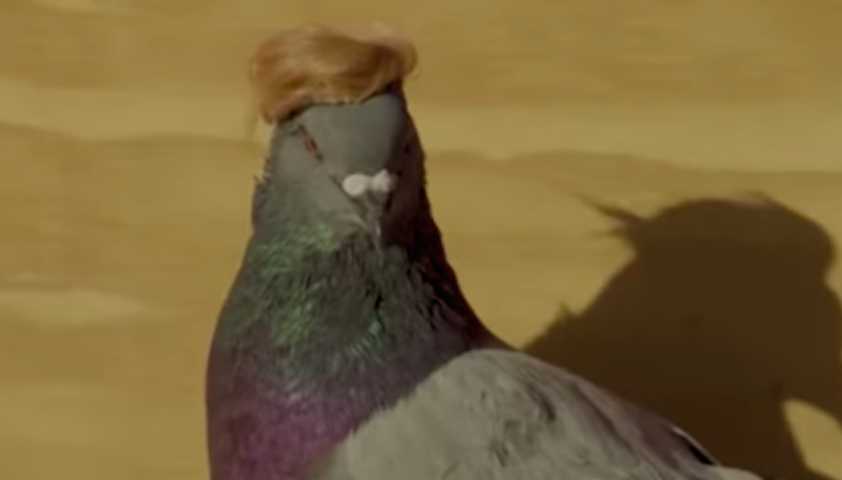Над Лас-Вегасом пролетела стая голубей в кепочках и с прической Трампа