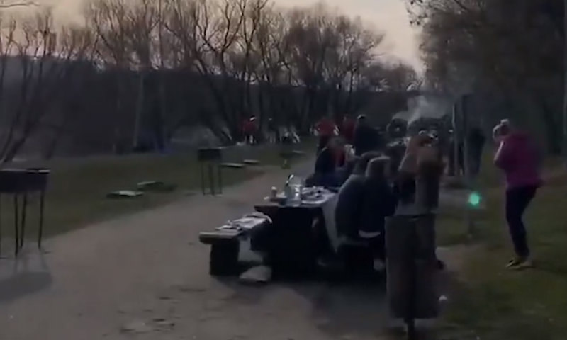 В первый день карантина москвичи весело жарили шашлыки