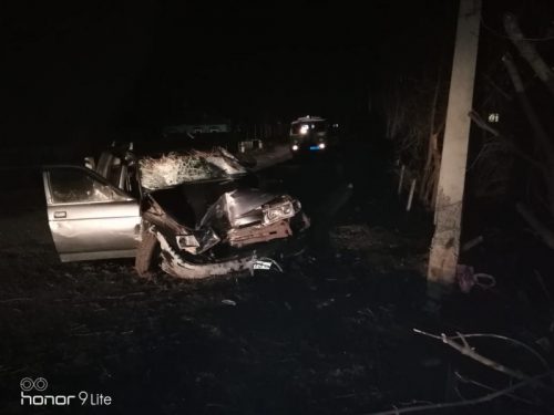 Водитель сбил пять человек в Воронежской области, ребенок и женщина погибли