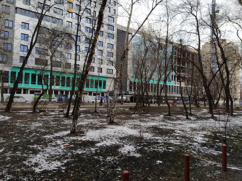 Жители Воронежа вышли на защиту сквера от строительной компании депутата-единоросса