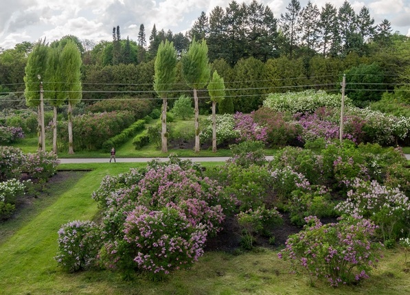 красивые места в Липецке и Липецкой области весной
