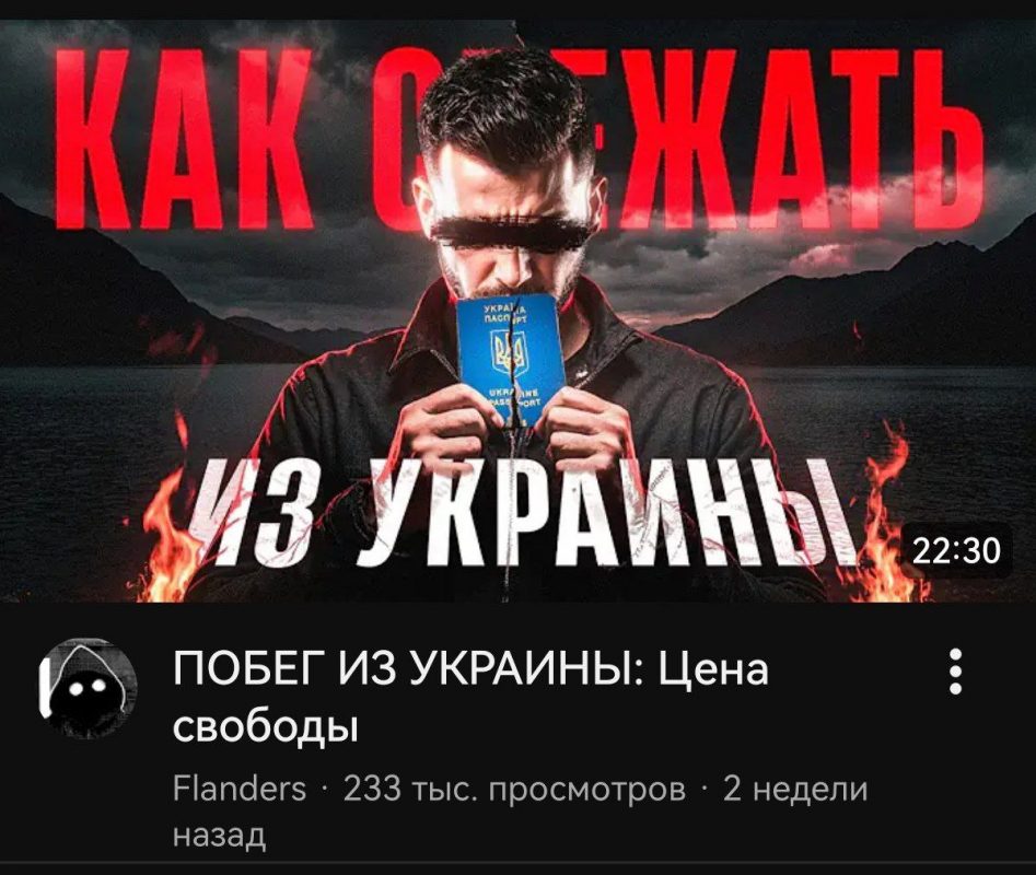 «Чучело бесстрашное»: Зеленский подлизывается к Трампу, на Украине — массовые отключения, а народ бежит из страны