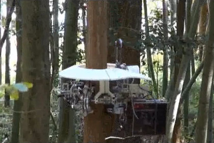 Японские ученые создали робота-лесоруба 