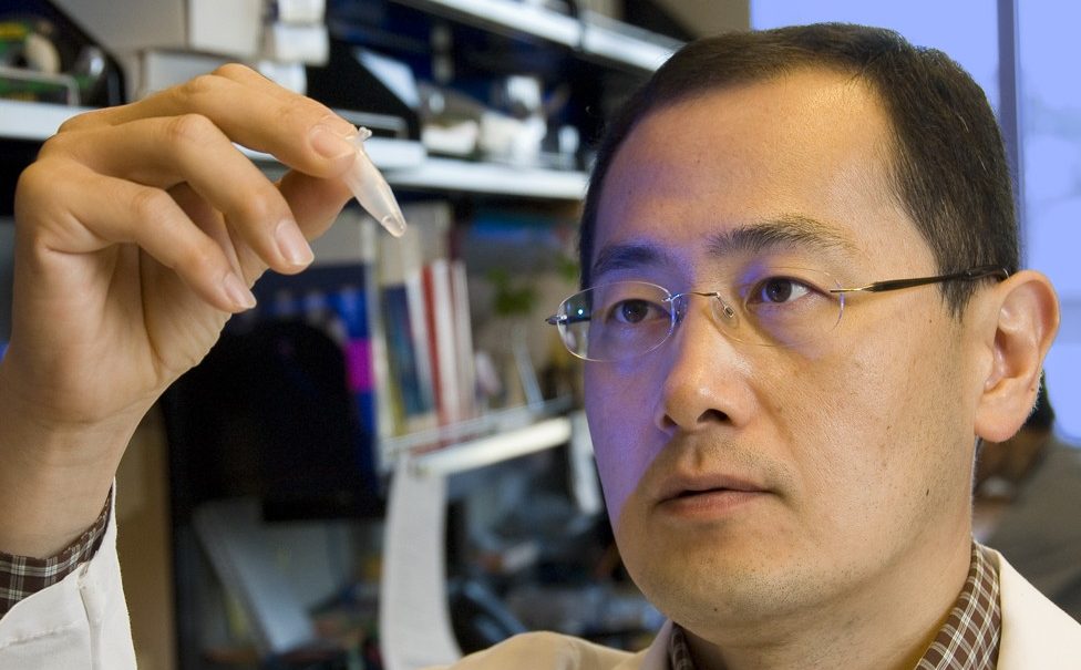 Японские ученые признали серьезные ошибки в статьях о методе перепрограммирования клеток 