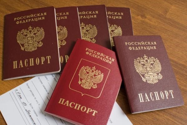 “Справедливая Россия” выступает против законопроекта об упрощенном предоставлении гражданства России всем носителям русского языка 