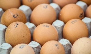 Росстат: подорожание куриных яиц снова ускорилось