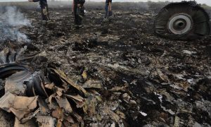 Директор Института за мир считает что крушение Boeing над Украиной выгодно Киеву