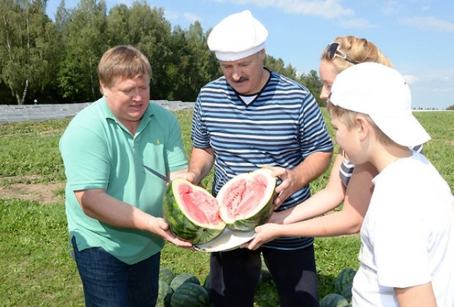 Лукашенко приказал выращивать в Белоруссии арбузы и дыни Лукашенко приказал выращивать в Белоруссии арбузы и дыни